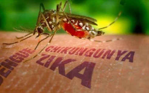 Indonesia memperingatkan warga negaranya yang berwisata ke negara-negara ada virus Zika - ảnh 1