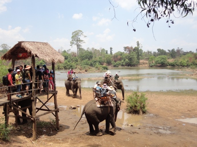 Kira-kira 80.000 wisatawan datang di provinsi Dak Lak pada awal musim Semi - ảnh 1