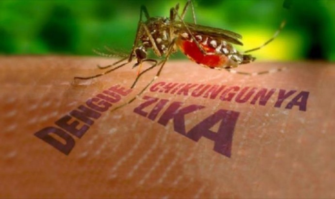 Kementerian Kesehatan Vietnam menegaskan belum menemukan virus Zika di Vietnam - ảnh 1