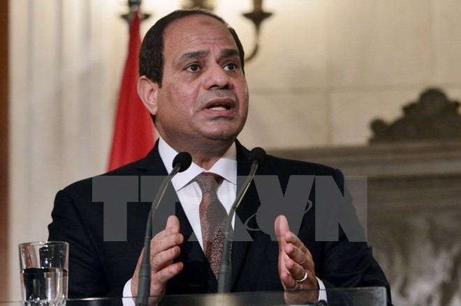 Mesir dan Perancis membahas cara mengatasi krisis di daerah MENA - ảnh 1