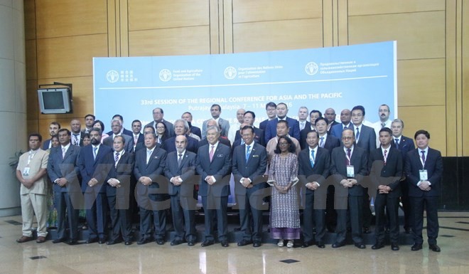 Vietnam menghadiri Konferensi ke-33 FAO kawasan Asia – Pasifik - ảnh 1