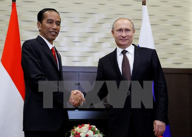 Rusia dan negara-negara ASEAN meningkatkan hubungan kerjasama di banyak bidang - ảnh 1