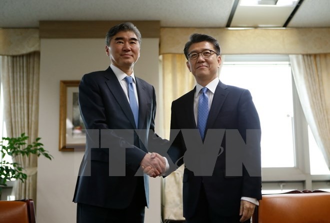 Republik Korea, Jepang dan Amerika Serikat berencana mengadakan perbahasan para utusan khusus tentang masalah nuklir - ảnh 1