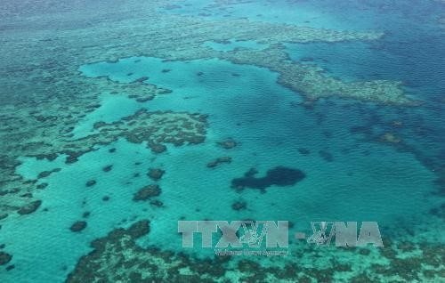 Tiongkok telah memusnahkan terumbu-terumbu karang di Laut Timur untuk membangun pulau buatan - ảnh 1