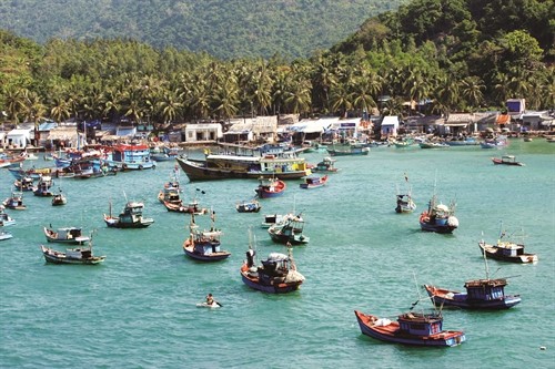 Berkonektivitas secara sinkron untuk mengembangkan pariwisata di Daerah Dataran Rendah Sungai Mekong - ảnh 1