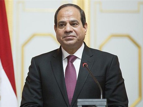 Mesir mendorong pembentukan Zona Perdagangan Bebas Afrika - ảnh 1
