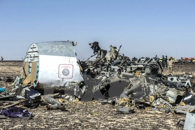Kasus pesawat terbang Rusia yang jatuh di Mesir: proses investigasi sedang memasuki tahap terakhir - ảnh 1