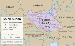 Sudan dan Sudan Selatan memulihkan kembali perundingan tentang penetapan garis demarkasi - ảnh 1