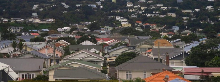 La Nouvelle-Zélande interdit la vente de maisons aux étrangers - ảnh 1