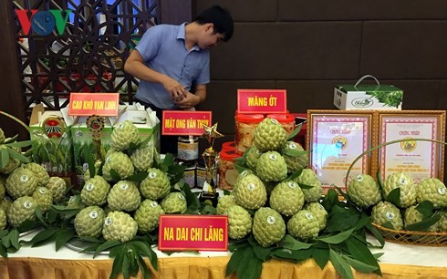 Conférence sur les échanges de produits agricoles entre le Vietnam et la Chine  - ảnh 1