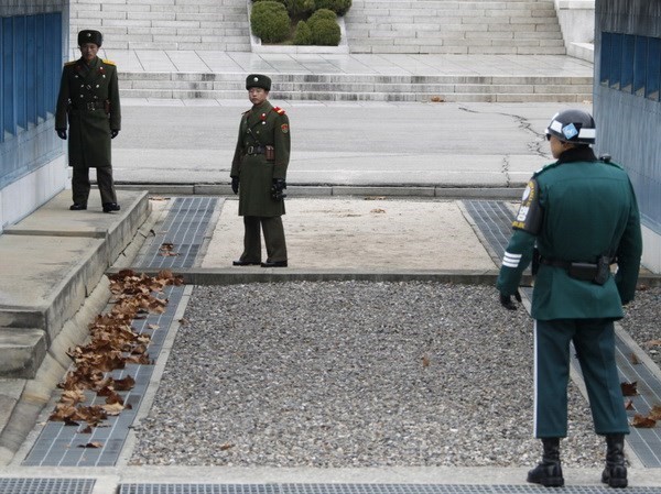 Corée : la DMZ transformée en une « zone de paix » - ảnh 1