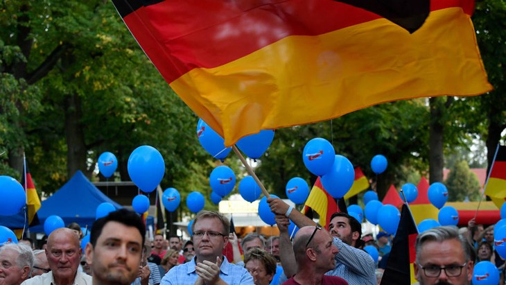 Allemagne : percée de l’extrême droite lors d’élections régionales - ảnh 1