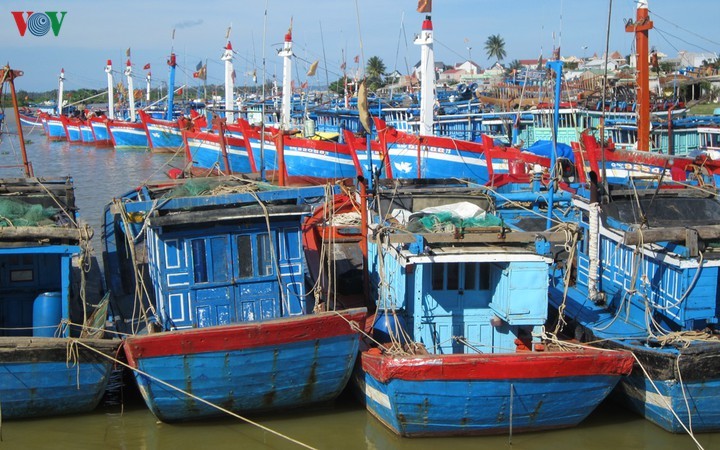 Quang Ngai: Installation de système de surveillance d’tinéraire dans les bateaux de pêche - ảnh 1