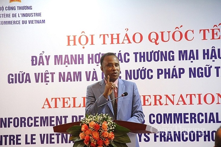 Commerce post-Covid-19: le Vietnam met l’Afrique francophone dans son viseur - ảnh 2