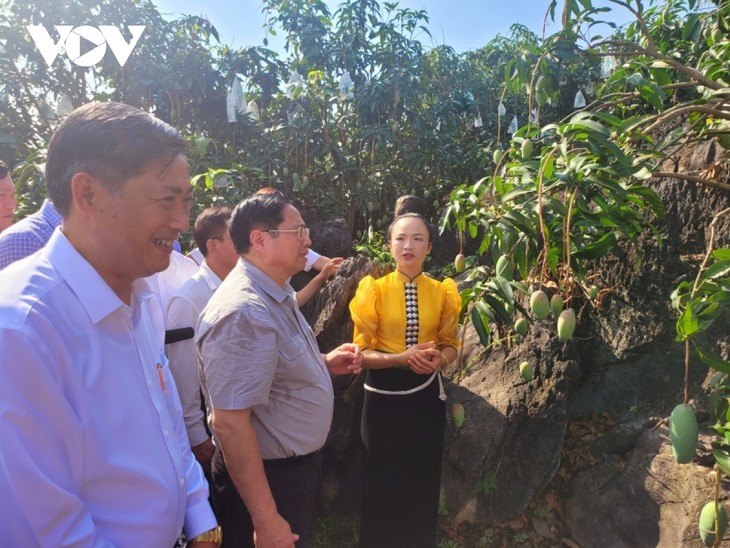 Pham Minh Chinh visite des zones d’exploitation agricole à Son La - ảnh 1