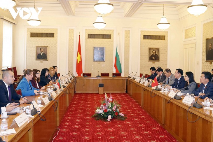 Vuong Dinh Huê rencontre des parlementaires bulgares - ảnh 1