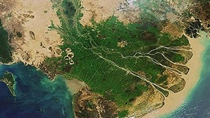 Förderung des grünen Wirtschaftszweigs in der erweiterten Mekong Subregion - ảnh 1