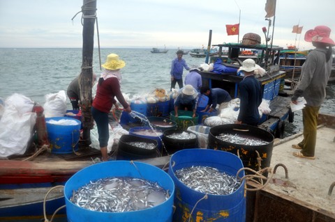 Fischereiverband Ly Son – die Stärke auf dem Ostmeer - ảnh 1