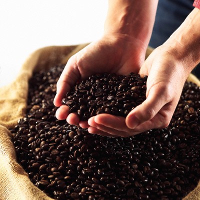 Vietnam leitet die Welt an Kaffee-Export - ảnh 1