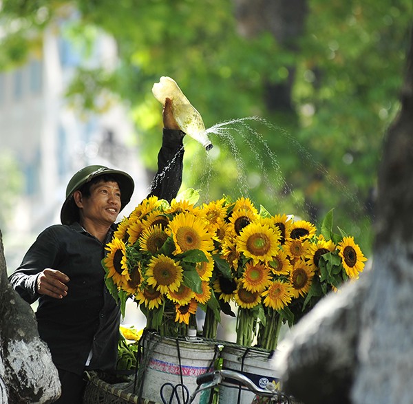 Verführerischer Herbst in Hanoi - ảnh 10