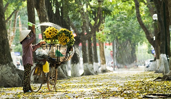 Verführerischer Herbst in Hanoi - ảnh 16