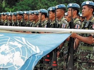 UN-Blauhelmsoldaten beginnen ihre Mission in Mali - ảnh 1