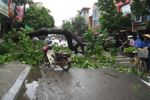 Nordvietnamesische Provinzen beseitigen die Folgen des Taifuns Mangkhut - ảnh 1