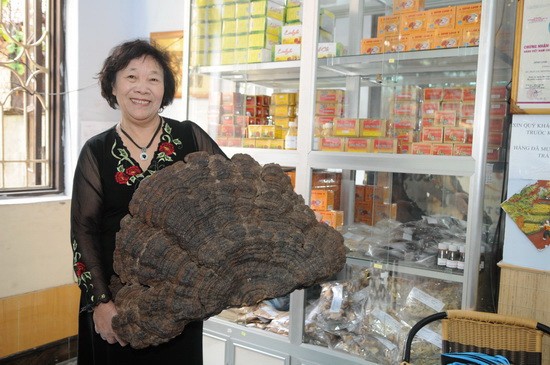 Erfolge der Unternehmerin Nguyen Thi Chinh stammen aus Pilzanbau - ảnh 1