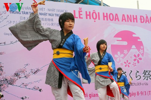 Das Sakura Fest in Hanoi - ảnh 1