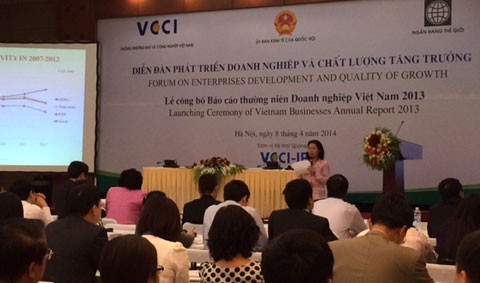 Vietnamesischer Unternehmensbericht 2013 - ảnh 1