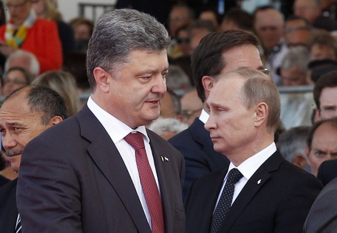 Russlands Präsident lobt Entschlossenheit zur Krisen-Lösung der Regirung in Kiew - ảnh 1