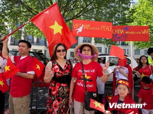 Auslandsvietnamesen begleiten das Volk zur Verteidigung des Hoheitsgewässers - ảnh 1