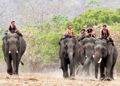 Elefantenzähmung der Volksgruppe der M'Nong - ảnh 1