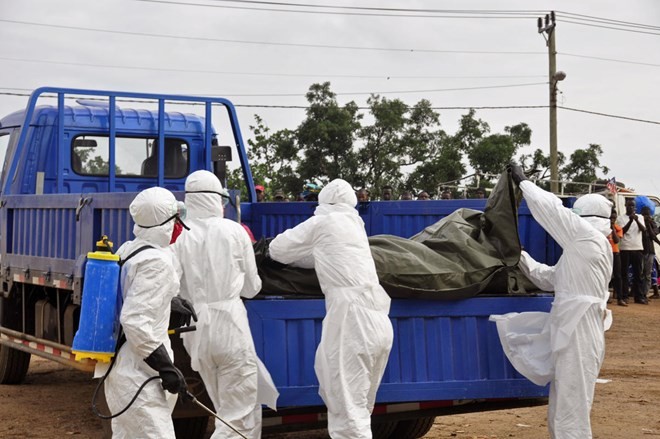 Warnung: Sechs Monate wird es dauern, bis die Ebola-Epidemie unter Kontrolle ist - ảnh 1