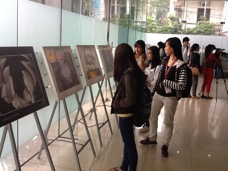 Fotoausstellung über vietnamesische Kulturschätze in Hanoi - ảnh 1