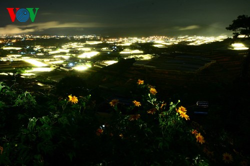 Blick auf Da Lat - ảnh 24