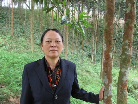 Eine fleißige Frau der Minderheitsvolksgruppe Dao in der Provinz Yen Bai - ảnh 1