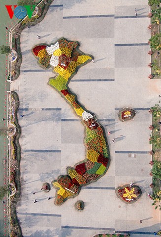 Landkarte aus Blumen am Han-Fluss stellt Rekord Vietnams auf - ảnh 1