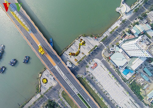 Landkarte aus Blumen am Han-Fluss stellt Rekord Vietnams auf - ảnh 2