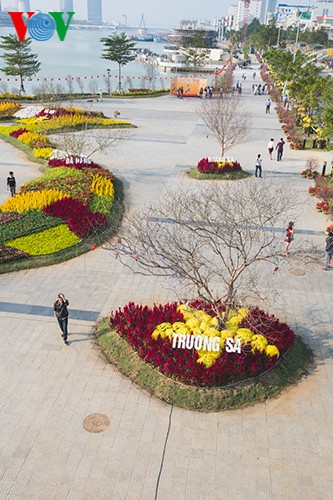 Landkarte aus Blumen am Han-Fluss stellt Rekord Vietnams auf - ảnh 7