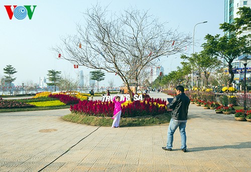 Landkarte aus Blumen am Han-Fluss stellt Rekord Vietnams auf - ảnh 9