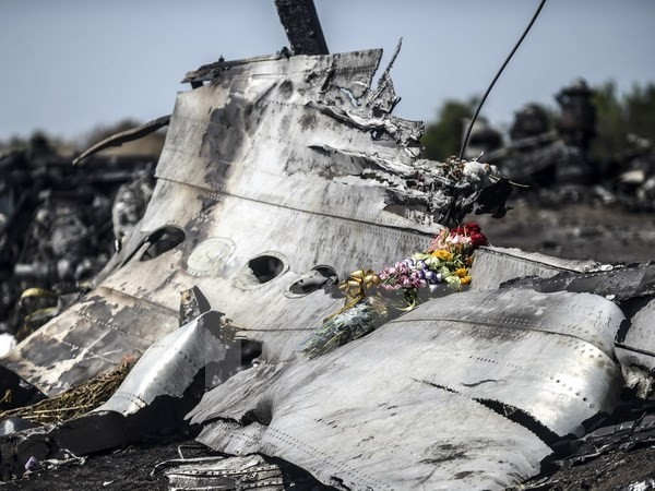 MH17: Niederlande verweigern Veröffentlichung der Unterlagen - ảnh 1