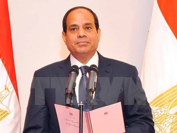 Ägypten verstärkt die Zusammenarbeit mit der ASEAN - ảnh 1