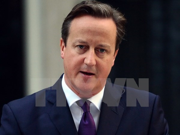 Der britische Premierminister veröffentlicht Forderungen für EU-Reform - ảnh 1