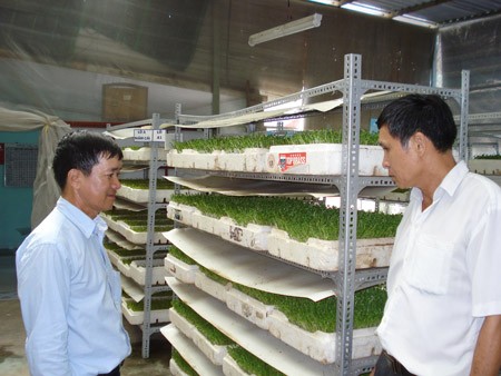 Hilfsfonds für Landwirte in Ho Chi Minh Stadt - ảnh 1