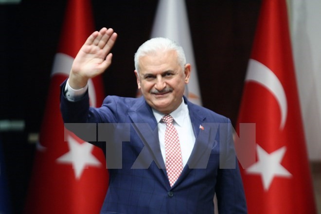 Türkei zieht Botschafter aus Deutschland ab - ảnh 1