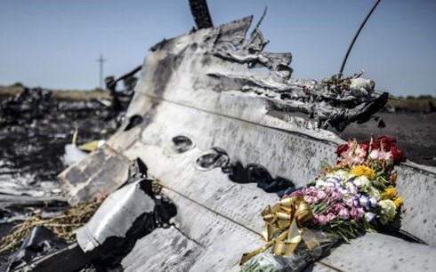 MH17: Russland bestellt Botschafterin der Niederlande ein - ảnh 1
