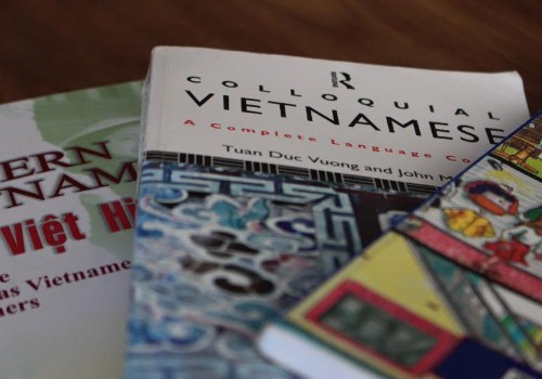 Vietnamesisch lernen, um mehr über Vietnam zu erfahren und Vietnam zu lieben - ảnh 1