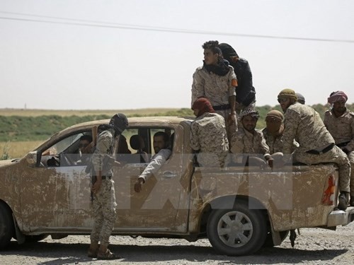 Zivilisten bei Luftangriff der Anti-IS-Allianz in Raqqa getötet - ảnh 1