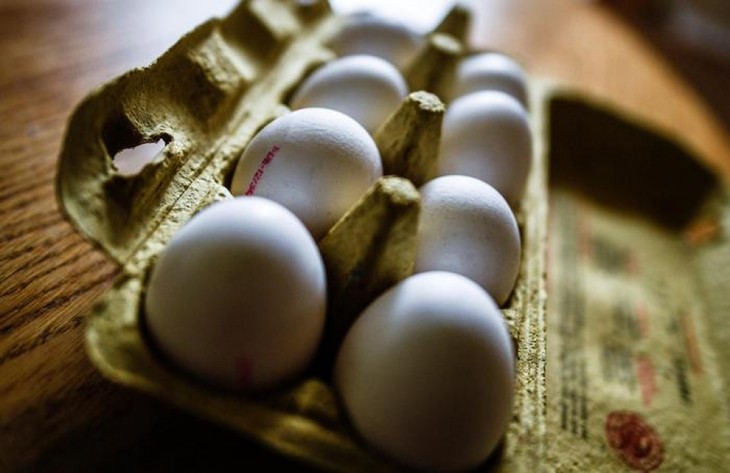 Fipronil-Eier: Italien beschlagnahmt Produkte eines frazösischen Unternehmens  - ảnh 1